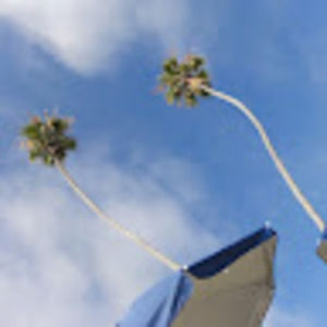 Meet your Posher, Rich